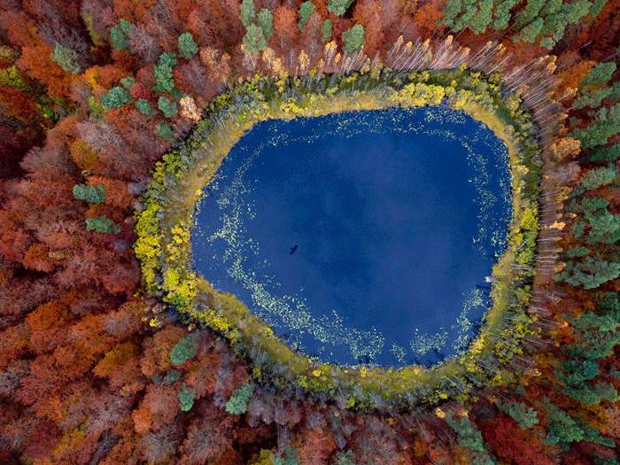 autumn-lake-eastern-pomerania-poland_63604_990x742