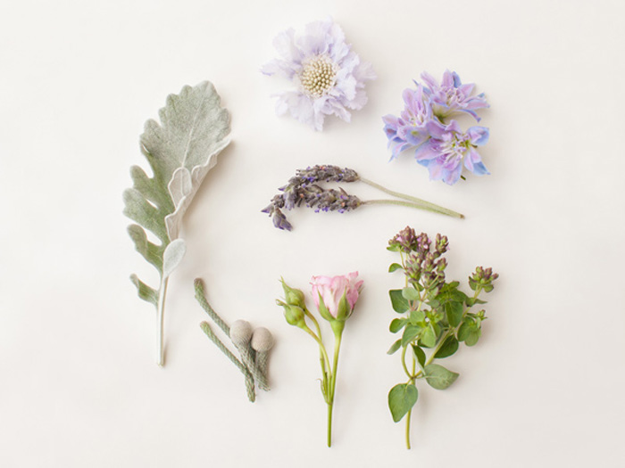 violetverde-flowerguide-14