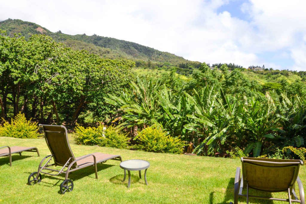 Hawaii: Bed & Breakfast In Maui