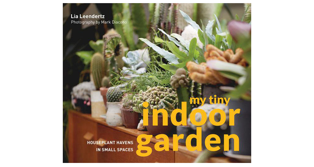 my-tiny-indoor-garden