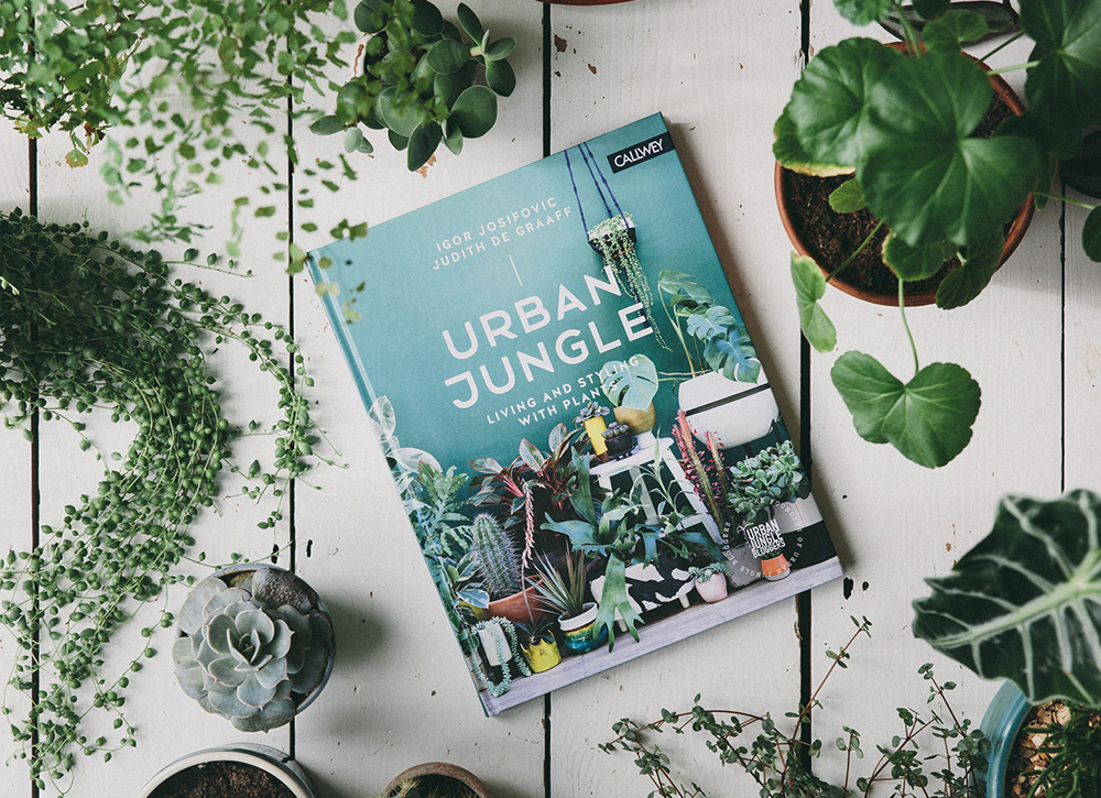 urban-jungle-bloggers-book-living-and-styling-with-plants-the-future-kept-new