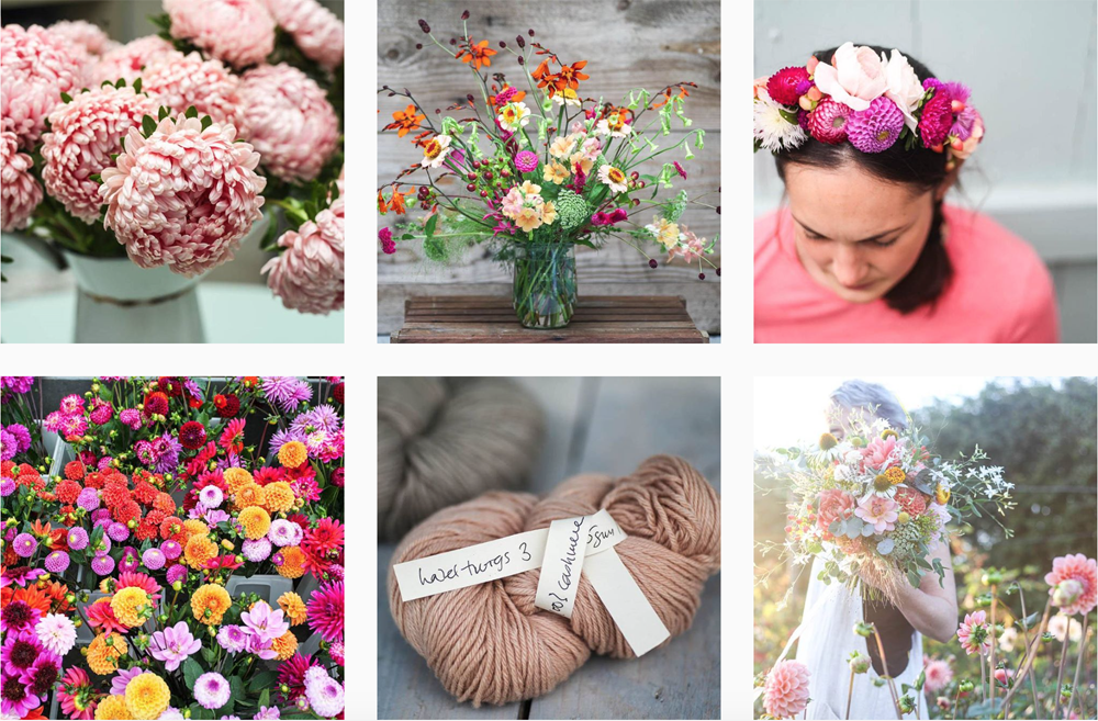 instagram-flowers