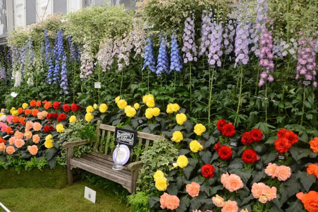 how to get to the chelsea flower show in london
